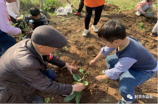 1709107432401629.png 33.png